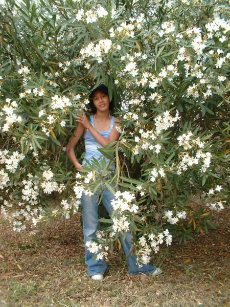 bienvenue dans mon blog