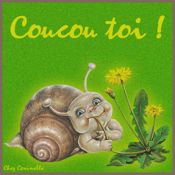 CoUcOu